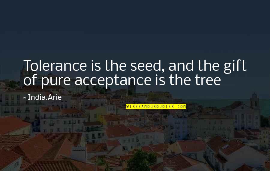 Acceptance And Tolerance Quotes By India.Arie: Tolerance is the seed, and the gift of