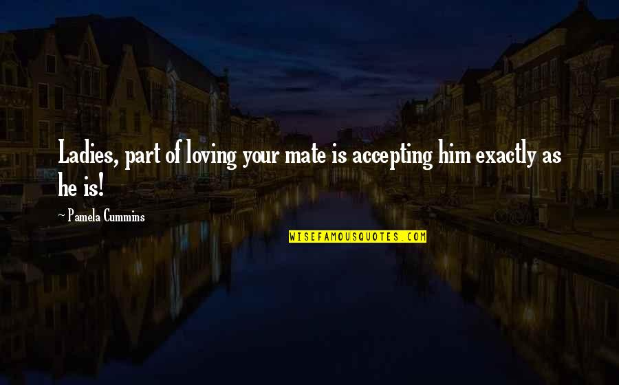 Acceptance From Others Quotes By Pamela Cummins: Ladies, part of loving your mate is accepting