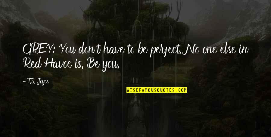 Acceptance Of Oneself Quotes By T.S. Joyce: GREY: You don't have to be perfect. No