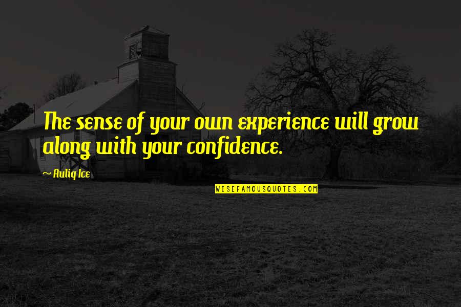 Acceptance Quotes By Auliq Ice: The sense of your own experience will grow