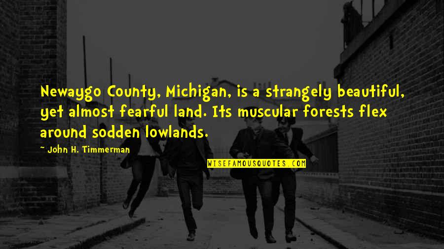 Accepting And Moving Forward Quotes By John H. Timmerman: Newaygo County, Michigan, is a strangely beautiful, yet