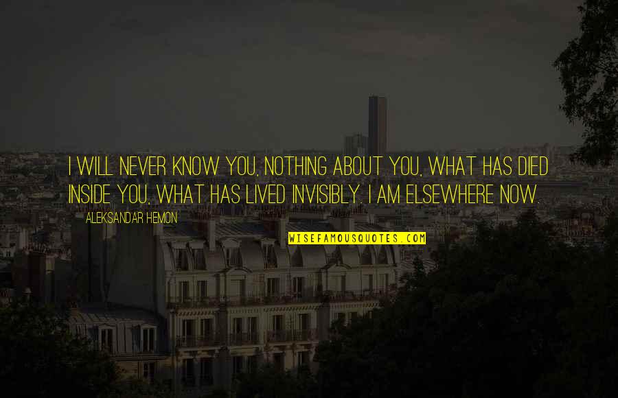 Accepting Others Past Quotes By Aleksandar Hemon: I will never know you, nothing about you,