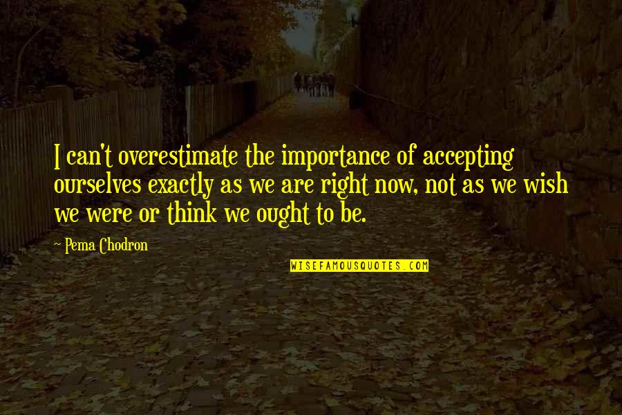 Accepting Ourselves Quotes By Pema Chodron: I can't overestimate the importance of accepting ourselves