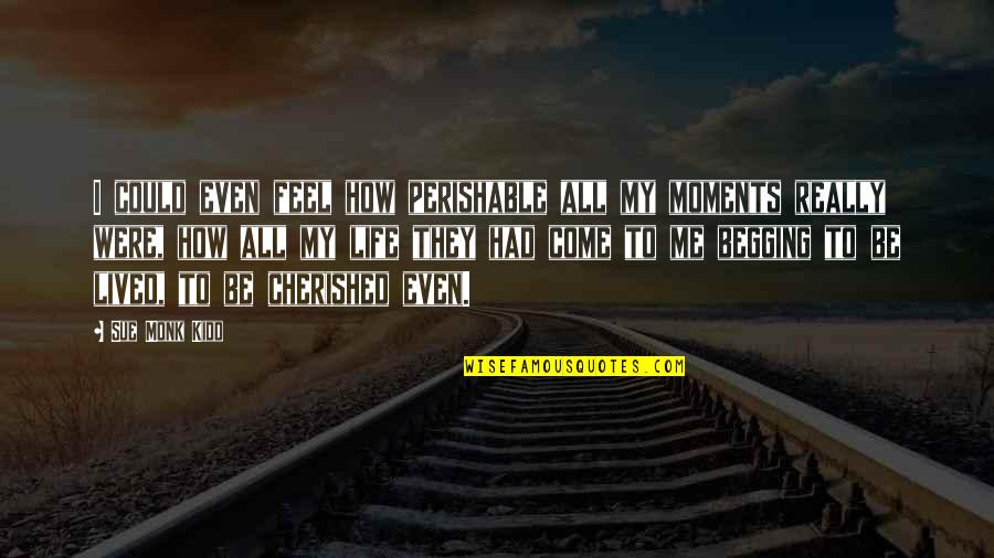 Accepting Own Fault Quotes By Sue Monk Kidd: I could even feel how perishable all my