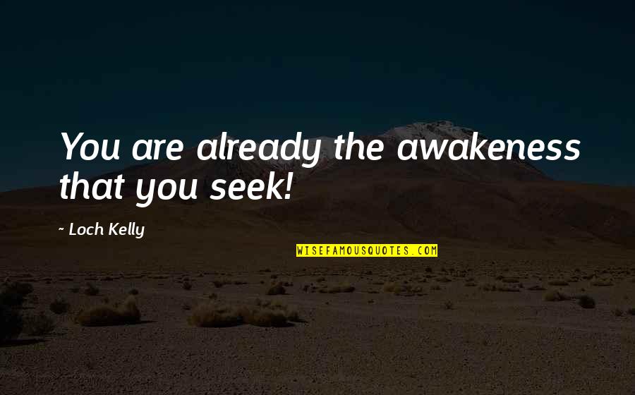 Accepting The Unexpected Quotes By Loch Kelly: You are already the awakeness that you seek!