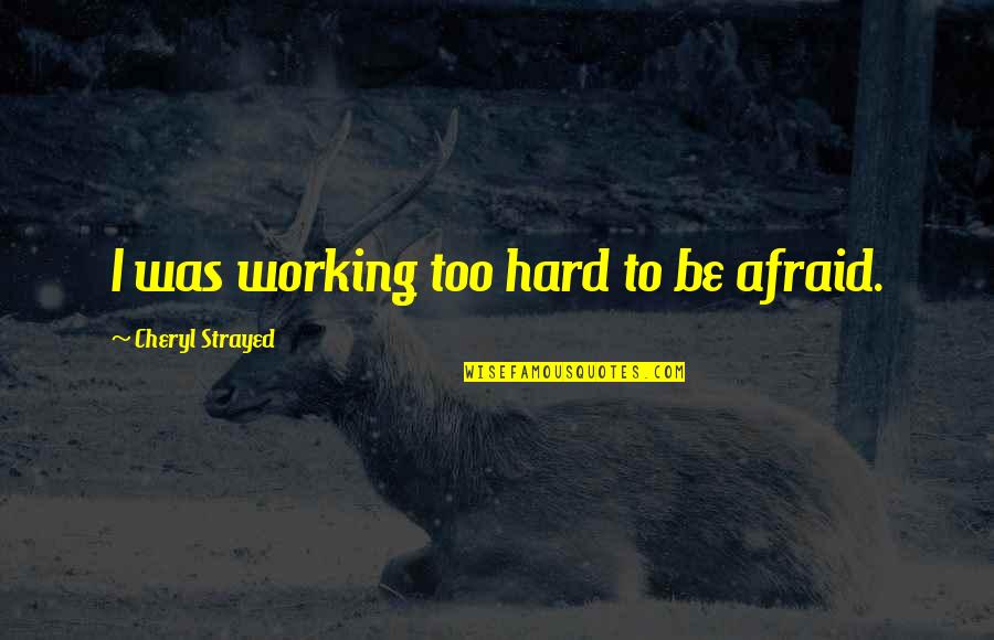 Accepting Things That Cannot Change Quotes By Cheryl Strayed: I was working too hard to be afraid. Accepting Things That Cannot Change Quotes By Cheryl Strayed: I was working too hard to be afraid.