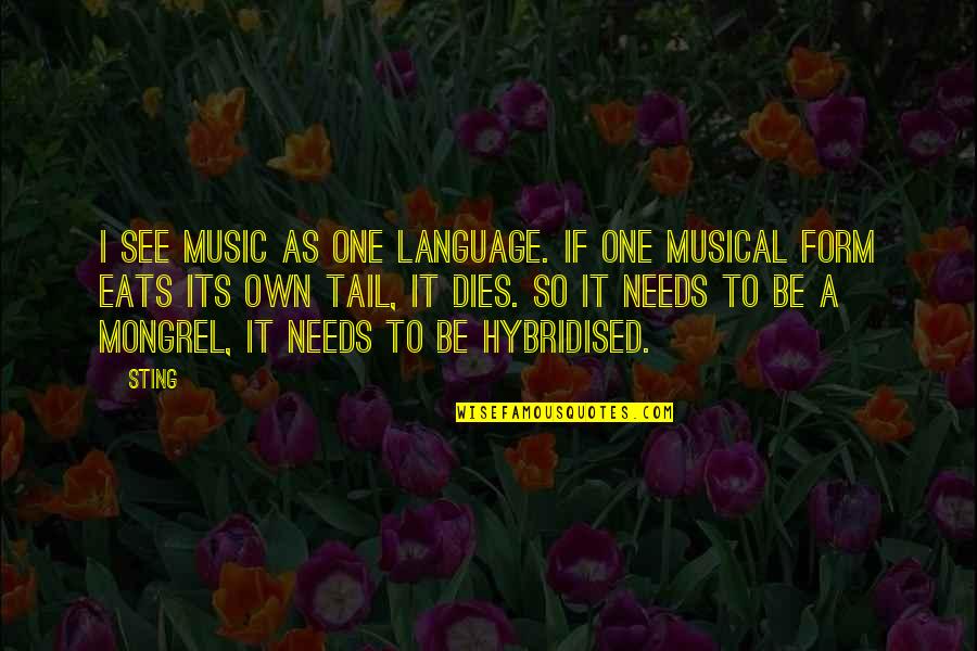 Accepting Yourself Tumblr Quotes By Sting: I see music as one language. If one Accepting Yourself Tumblr Quotes By Sting: I see music as one language. If one