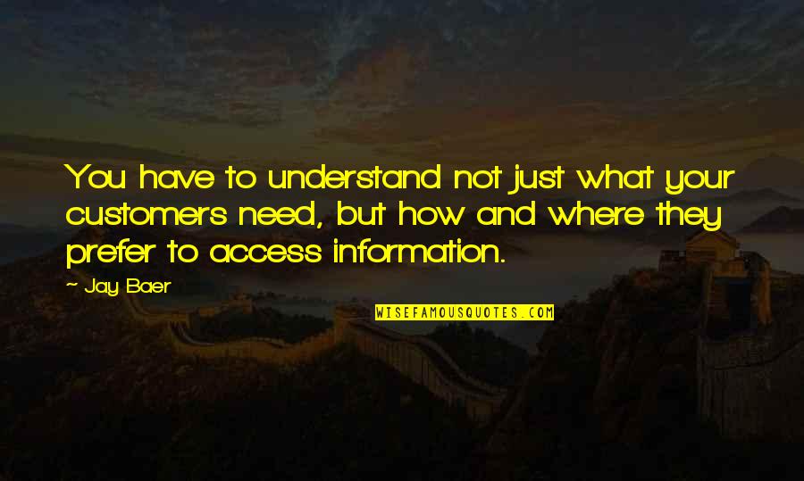 Access To Information Quotes By Jay Baer: You have to understand not just what your