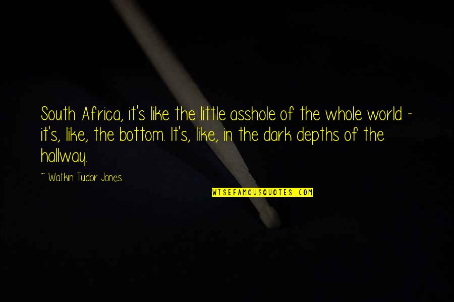Accessorio Del Quotes By Watkin Tudor Jones: South Africa, it's like the little asshole of