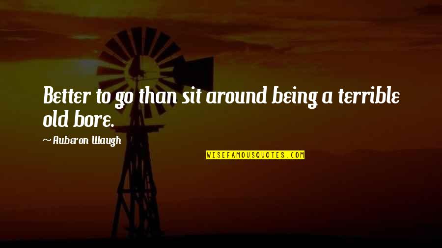 Accessorized Quotes By Auberon Waugh: Better to go than sit around being a