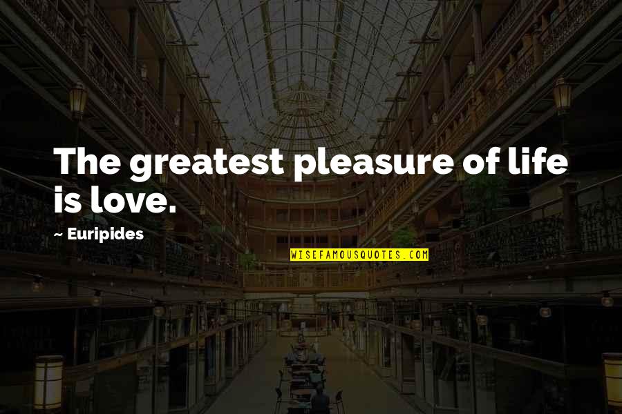 Accident Therapy Quotes By Euripides: The greatest pleasure of life is love.