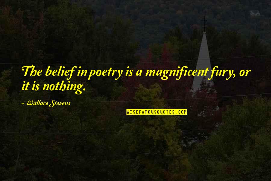 Accidental Tourist Macon Quotes By Wallace Stevens: The belief in poetry is a magnificent fury,