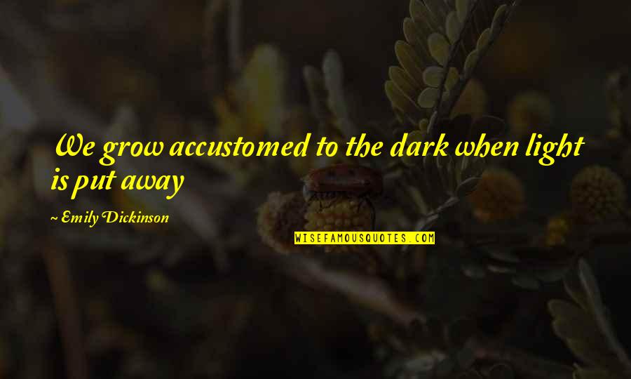Acclimate Synonyms Quotes By Emily Dickinson: We grow accustomed to the dark when light