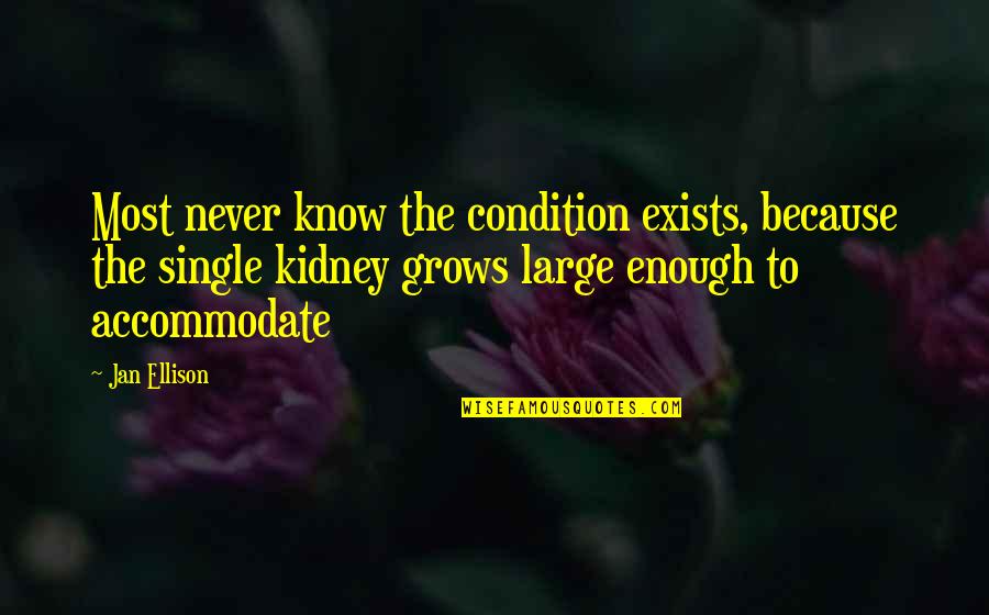 Accommodate Quotes By Jan Ellison: Most never know the condition exists, because the