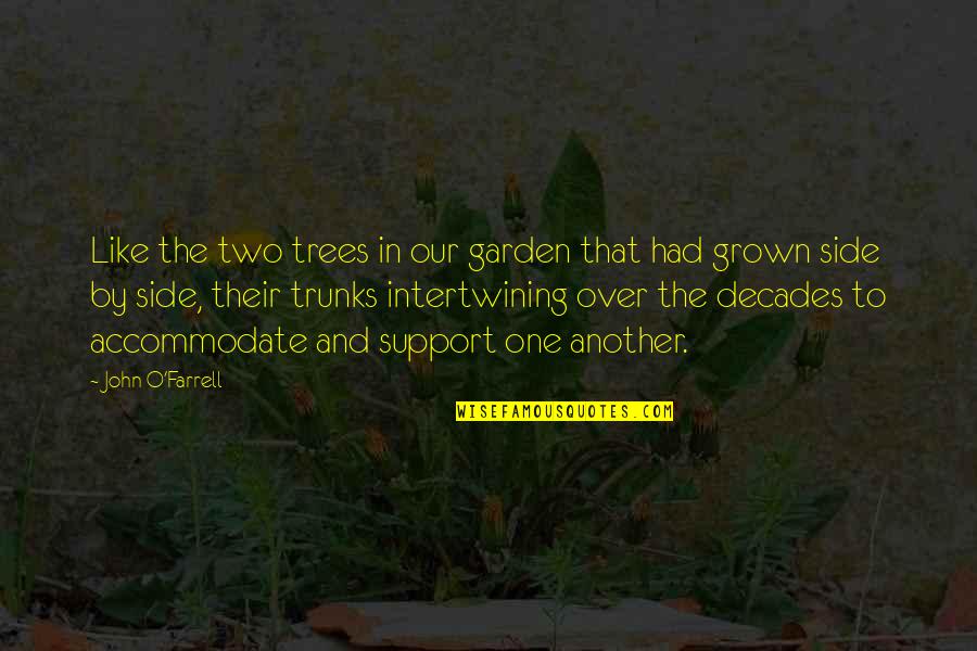 Accommodate Quotes By John O'Farrell: Like the two trees in our garden that