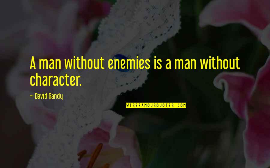 Accompany Quotes Quotes By David Gandy: A man without enemies is a man without
