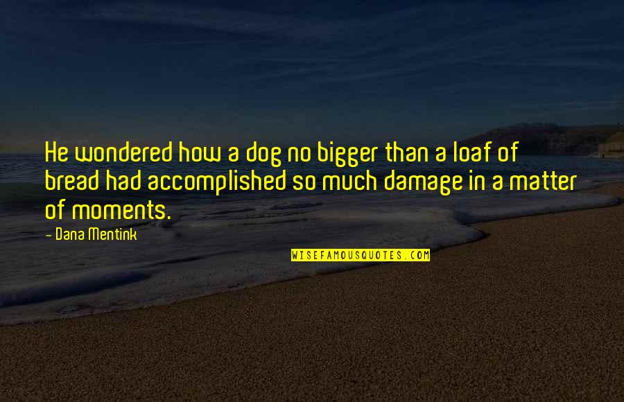 Accomplished So Much Quotes By Dana Mentink: He wondered how a dog no bigger than Accomplished So Much Quotes By Dana Mentink: He wondered how a dog no bigger than