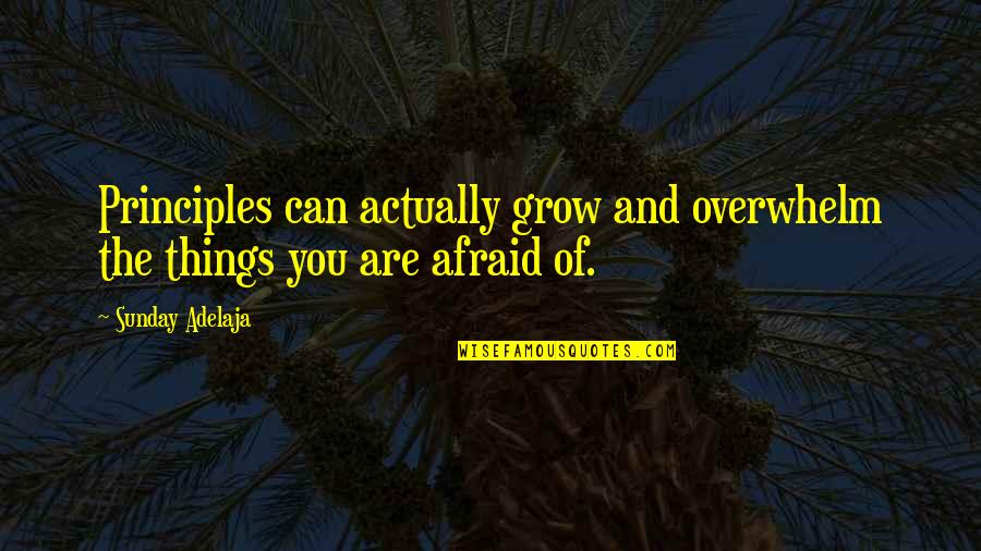 Accomplishing Things Quotes By Sunday Adelaja: Principles can actually grow and overwhelm the things