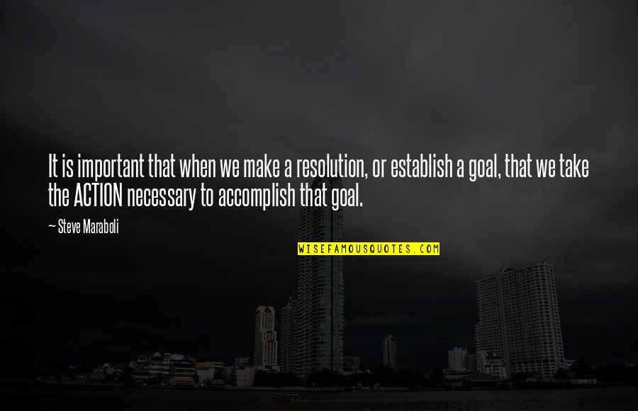 Accomplishment And Goals Quotes By Steve Maraboli: It is important that when we make a