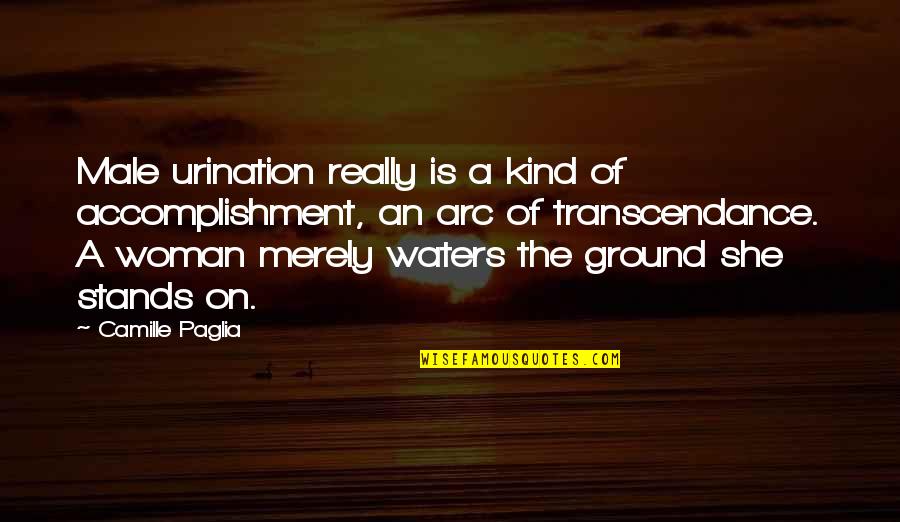 Accomplishment Quotes By Camille Paglia: Male urination really is a kind of accomplishment, Accomplishment Quotes By Camille Paglia: Male urination really is a kind of accomplishment,