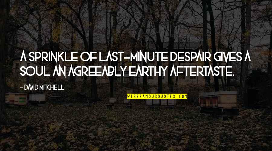 Accomplishmenties Quotes By David Mitchell: A sprinkle of last-minute despair gives a soul