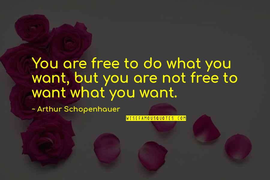 Accomplishments And Dreams Quotes By Arthur Schopenhauer: You are free to do what you want,