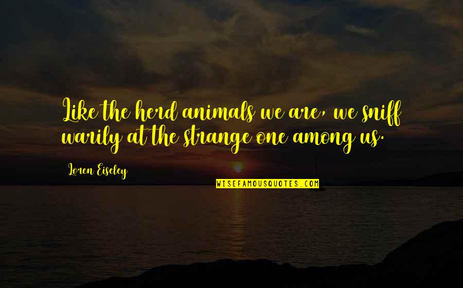 Accorgera Quotes By Loren Eiseley: Like the herd animals we are, we sniff