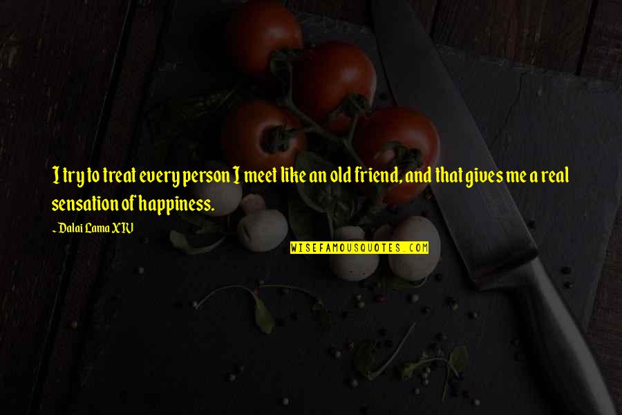 Accornero Barbera Quotes By Dalai Lama XIV: I try to treat every person I meet Accornero Barbera Quotes By Dalai Lama XIV: I try to treat every person I meet