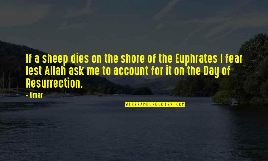 Account Quotes By Umar: If a sheep dies on the shore of