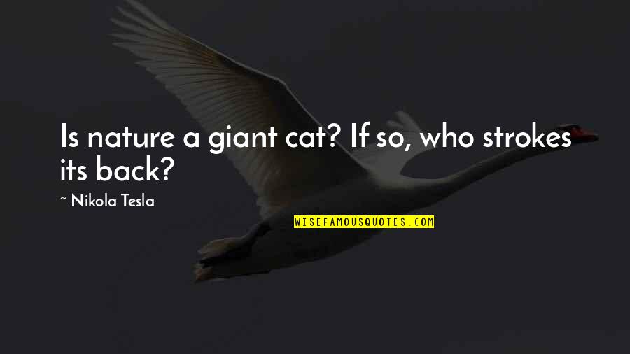 Accountability Vs Blame Quotes By Nikola Tesla: Is nature a giant cat? If so, who