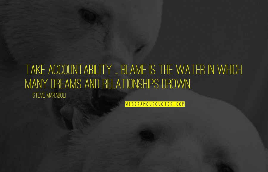 Accountability Vs Blame Quotes By Steve Maraboli: Take accountability ... Blame is the water in