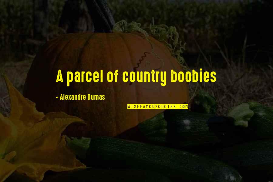Accountableness Quotes By Alexandre Dumas: A parcel of country boobies