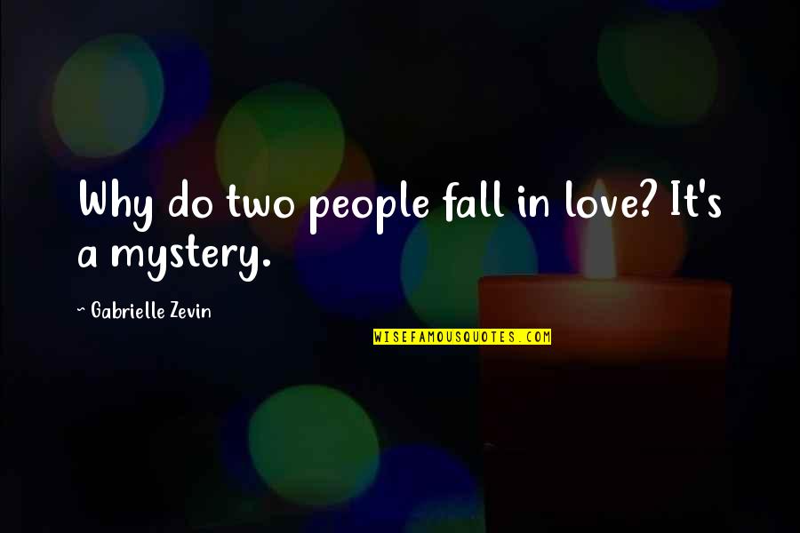 Accountancy Teacher Quotes By Gabrielle Zevin: Why do two people fall in love? It's