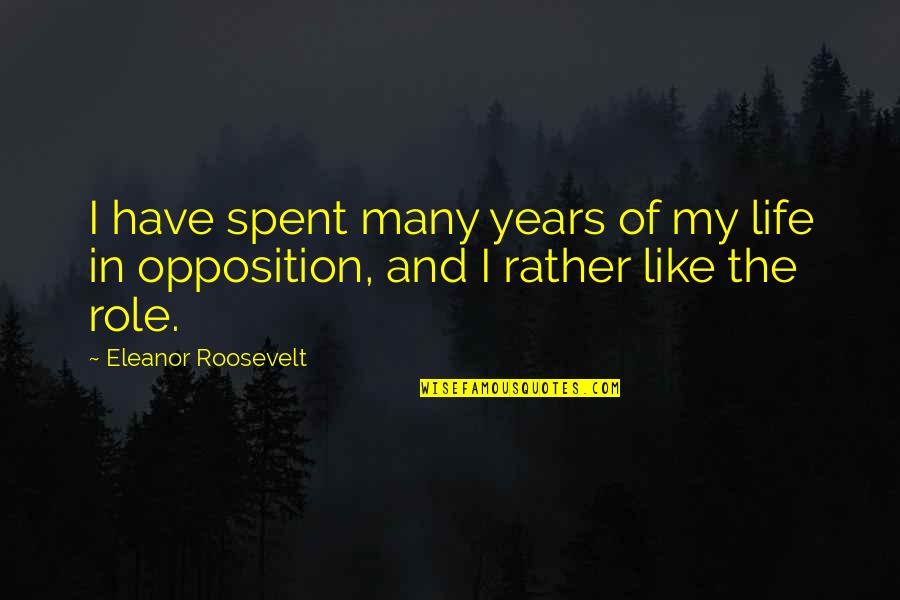 Accounting Equation Quotes By Eleanor Roosevelt: I have spent many years of my life