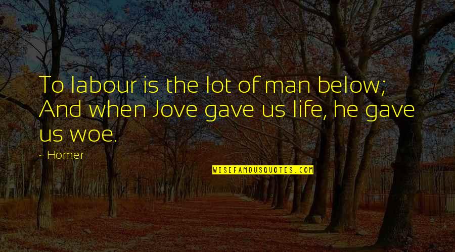 Acculturate Quotes By Homer: To labour is the lot of man below;