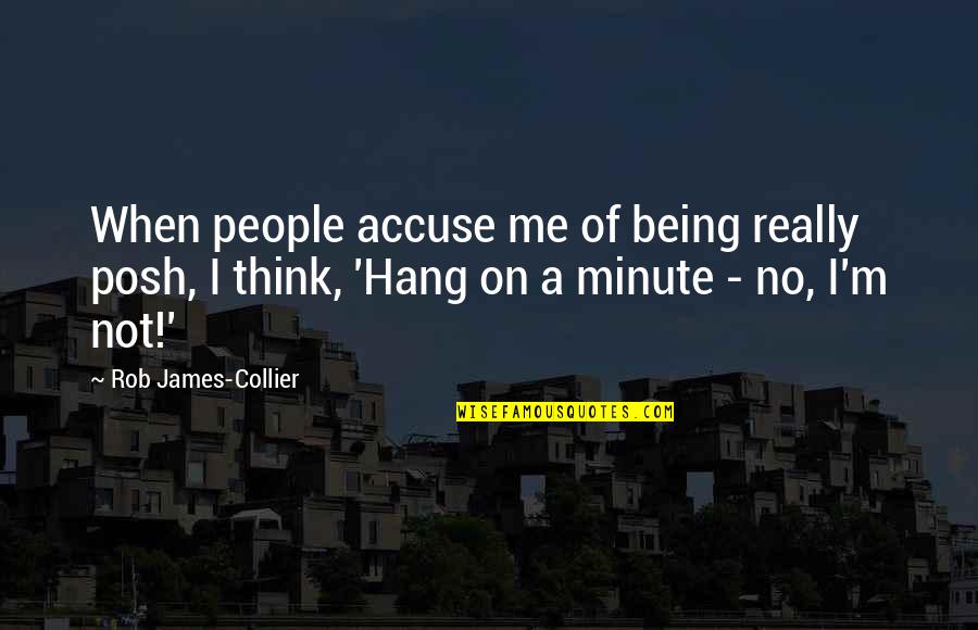 Accuse Me Quotes By Rob James-Collier: When people accuse me of being really posh,