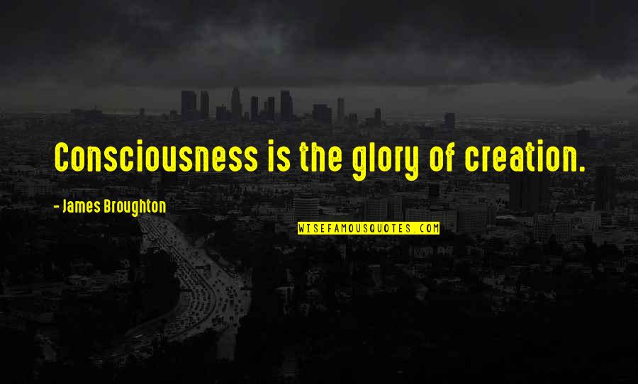 Accutane Side Quotes By James Broughton: Consciousness is the glory of creation.