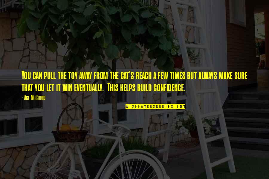 Ace It Quotes By Ace McCloud: You can pull the toy away from the