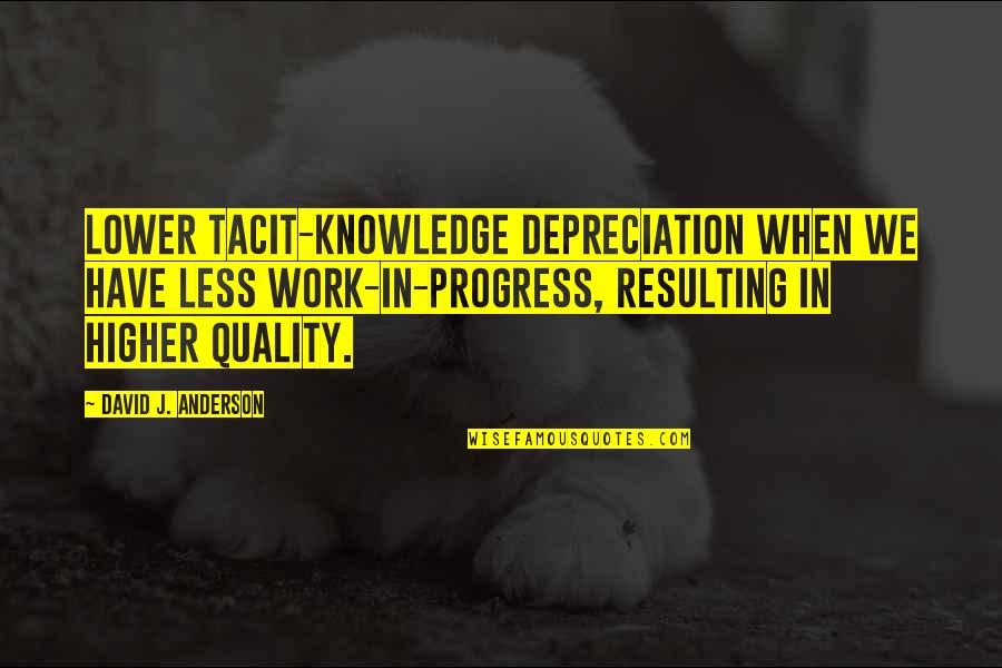 Acedol Quotes By David J. Anderson: lower tacit-knowledge depreciation when we have less work-in-progress,