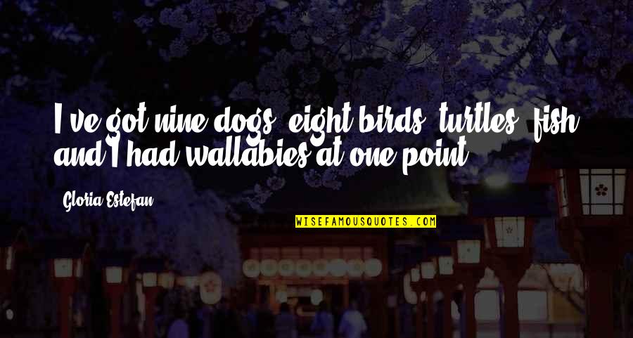 Acender O Quotes By Gloria Estefan: I've got nine dogs, eight birds, turtles, fish