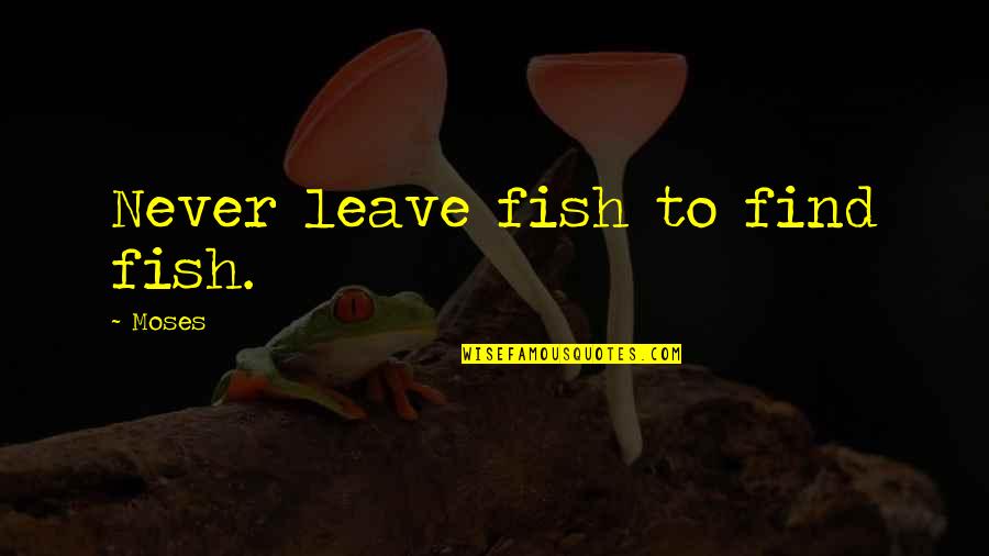Acep Zamzam Noor Quotes By Moses: Never leave fish to find fish.