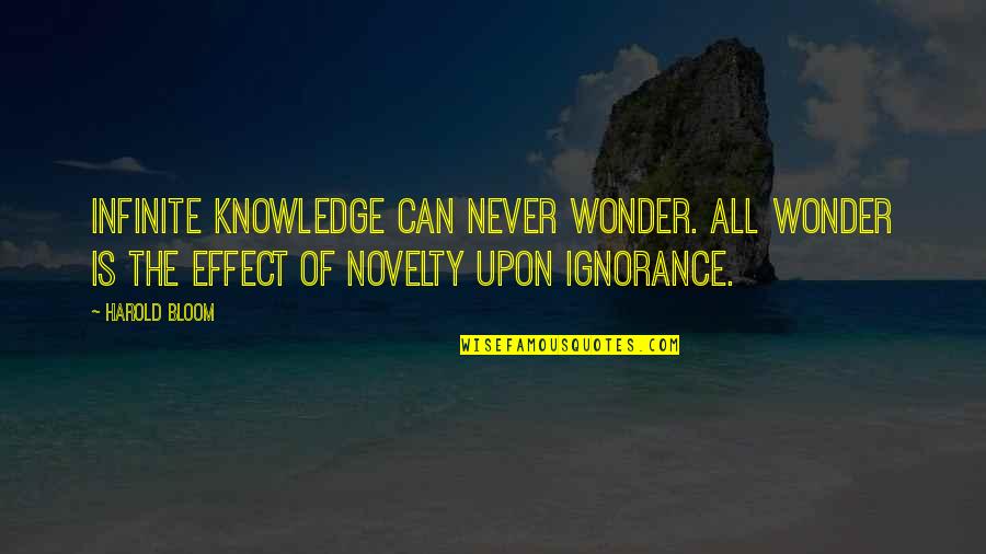Acevedos Quotes By Harold Bloom: Infinite knowledge can never wonder. All wonder is Acevedos Quotes By Harold Bloom: Infinite knowledge can never wonder. All wonder is
