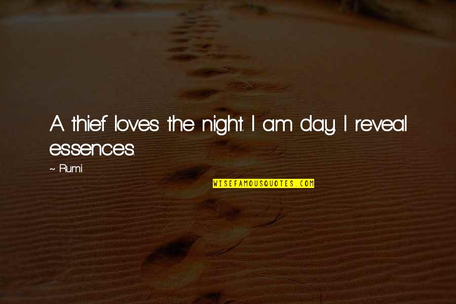 Acharnement Therapeutique Quotes By Rumi: A thief loves the night. I am day.