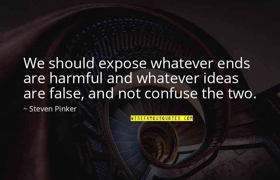 Ache Log Quotes By Steven Pinker: We should expose whatever ends are harmful and