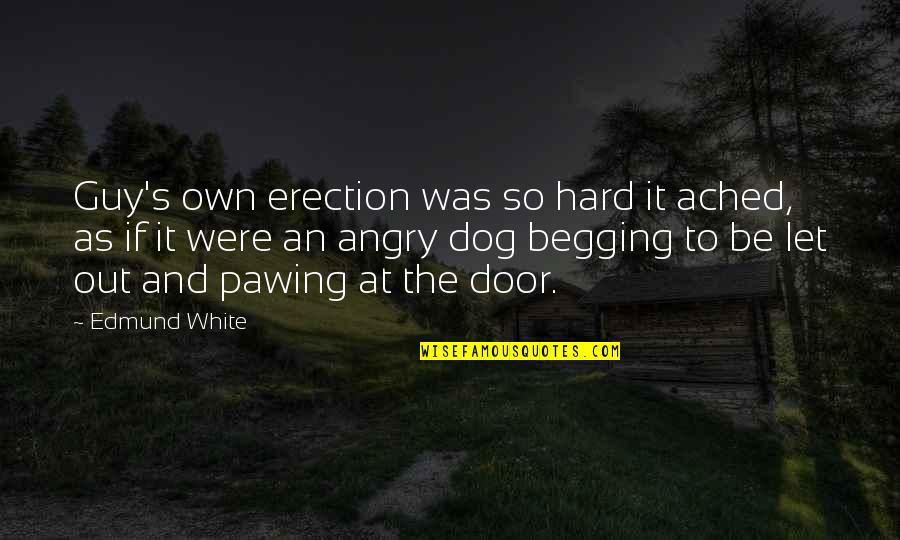 Ached Quotes By Edmund White: Guy's own erection was so hard it ached,