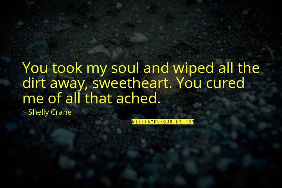 Ached Quotes By Shelly Crane: You took my soul and wiped all the