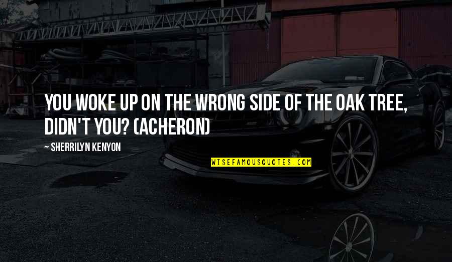 Acheron's Quotes By Sherrilyn Kenyon: You woke up on the wrong side of