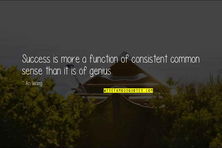 Acherontic Quotes By An Wang: Success is more a function of consistent common