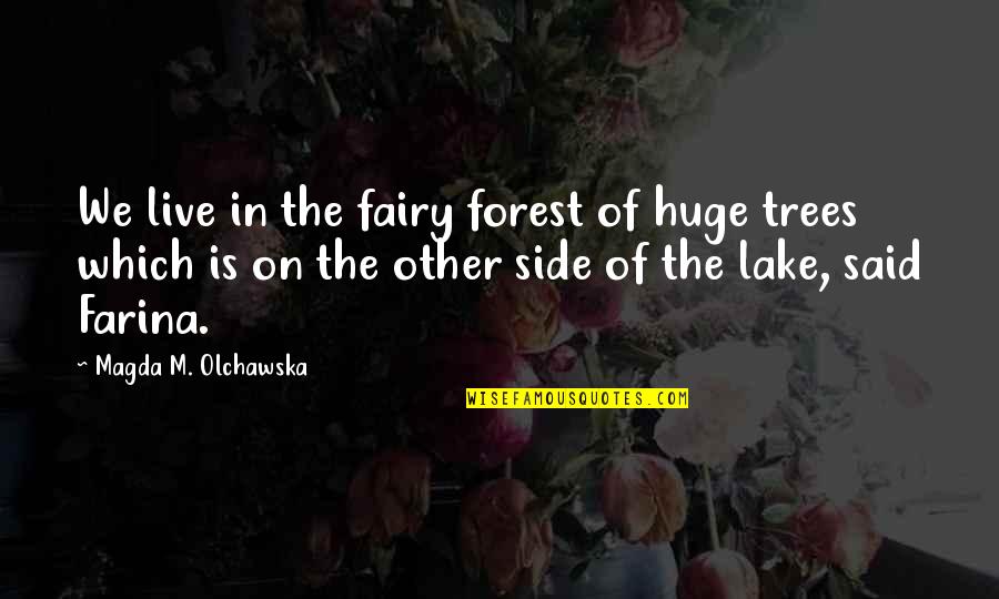 Achi Quotes By Magda M. Olchawska: We live in the fairy forest of huge
