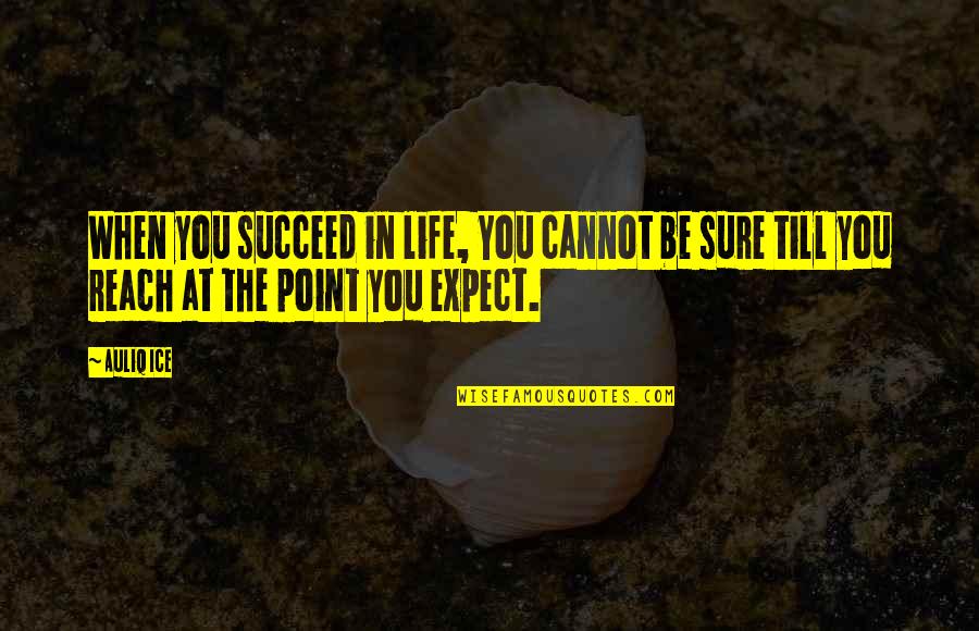 Achievements Quotes By Auliq Ice: When you succeed in life, You cannot be